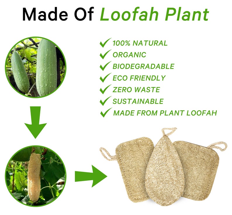 Pear Natural Loofah Kitchen Scrubber